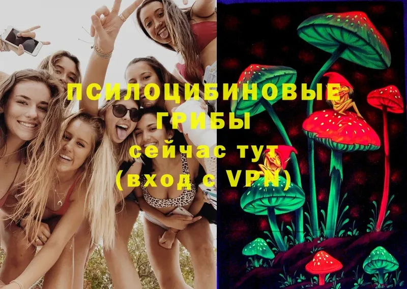 Галлюциногенные грибы Magic Shrooms Липки